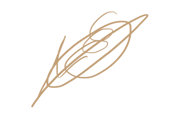 signature_alex